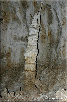 Säule